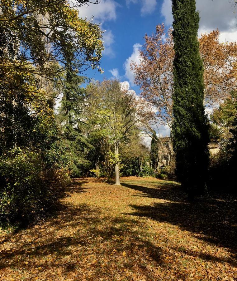 Campagne Baudeloup Bed & Breakfast L'Isle-sur-la-Sorgue Exterior photo